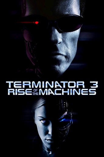 Poster for the movie "Terminator 3: Rise of the Machines"